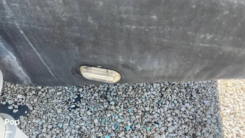 Slide: The Image of Mako 262 1995 - 15804161