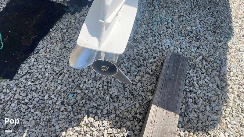 Slide: The Image of Mako 262 1995 - 15804162