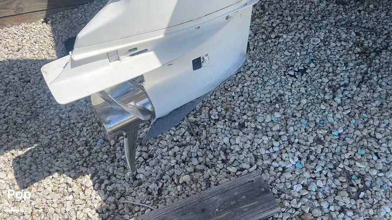 Slide: The Image of Mako 262 1995 - 15804163