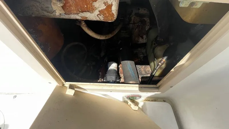 Slide: The Image of Mako 262 1995 - 15804176