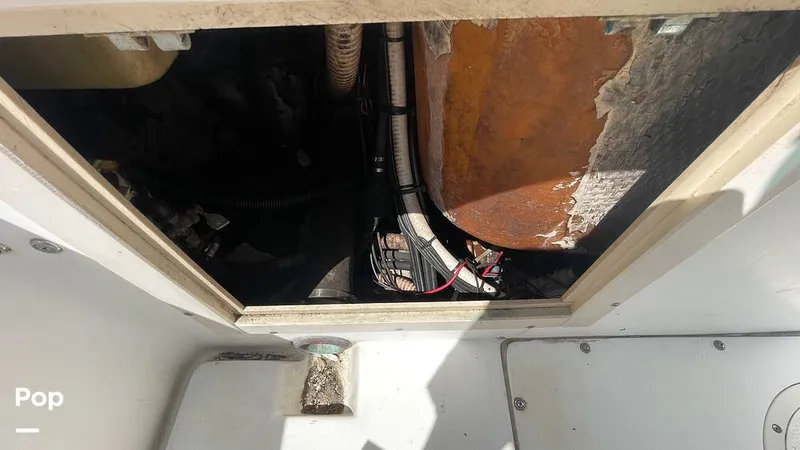 Slide: The Image of Mako 262 1995 - 15804177