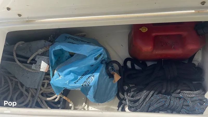 Slide: The Image of Mako 262 1995 - 15804206