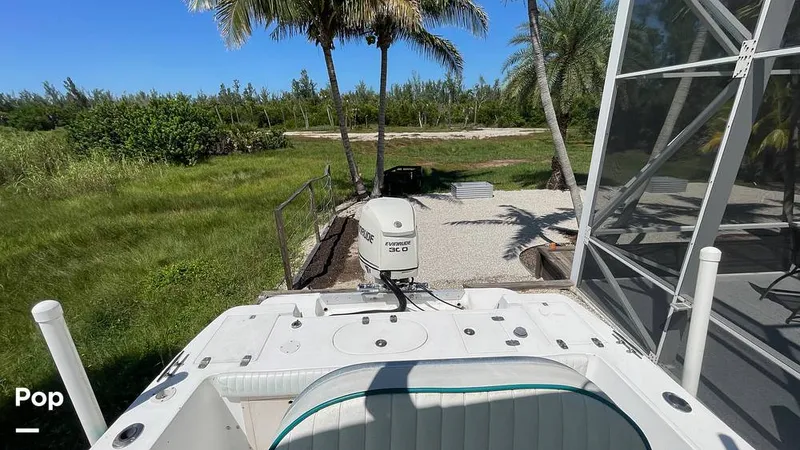 Slide: The Image of Mako 262 1995 - 15804217