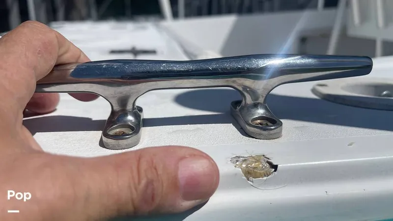 Slide: The Image of Mako 262 1995 - 15804158