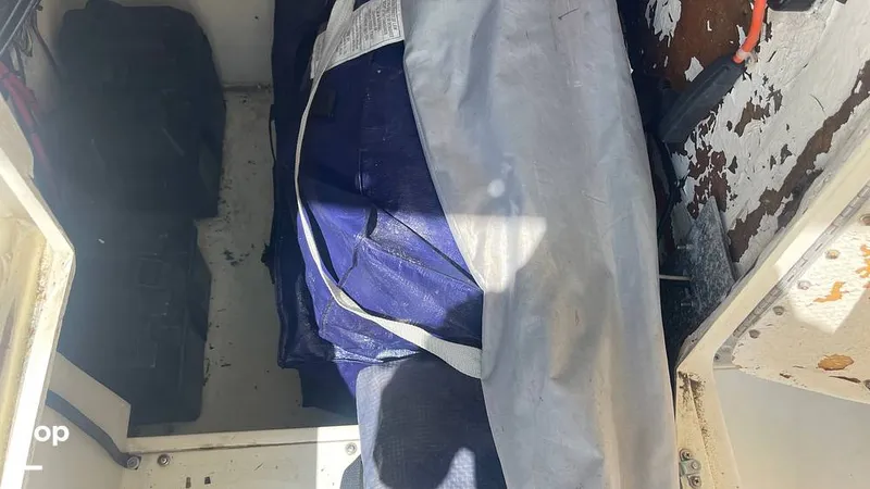 Slide: The Image of Mako 262 1995 - 15804196