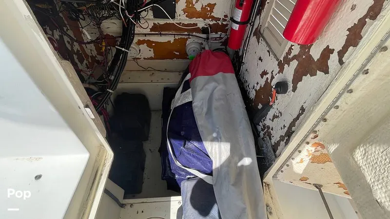 Slide: The Image of Mako 262 1995 - 15804197