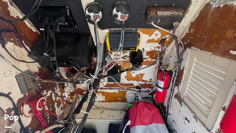 Slide: The Image of Mako 262 1995 - 15804198