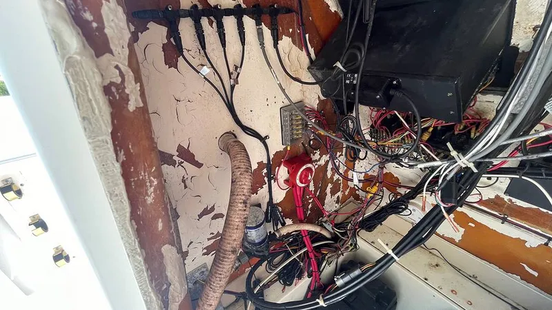 Slide: The Image of Mako 262 1995 - 15804199