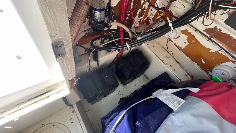 Slide: The Image of Mako 262 1995 - 15804200