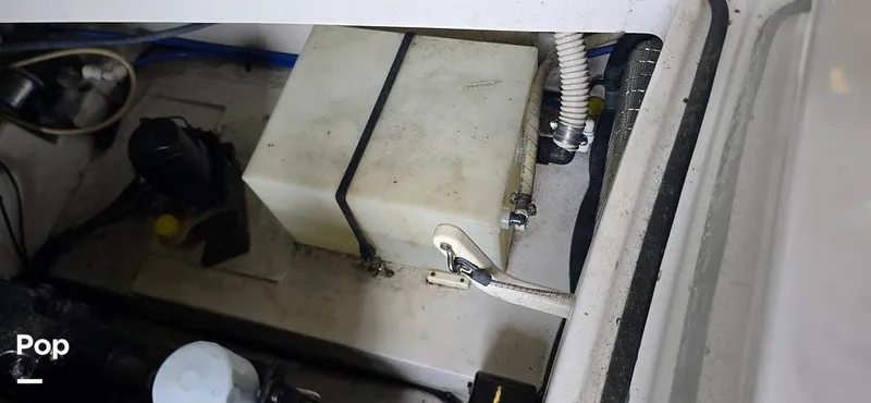 Slide: The Image of Chris-Craft 25 Launch 2008 - 15818284