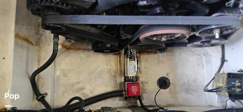 Slide: The Image of Chris-Craft 25 Launch 2008 - 15818289