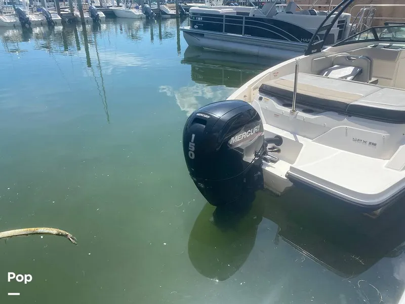 Slide: The Image of Sea Ray 210 SPX 2022 - 15794085