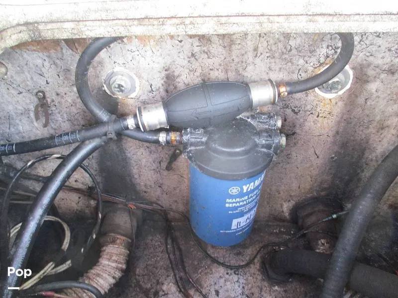 Slide: The Image of Key West 186 Sportsman 2005 - 15817608