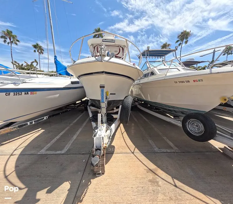 Slide: The Image of Grady-White 240 Offshore 1980 - 15799478