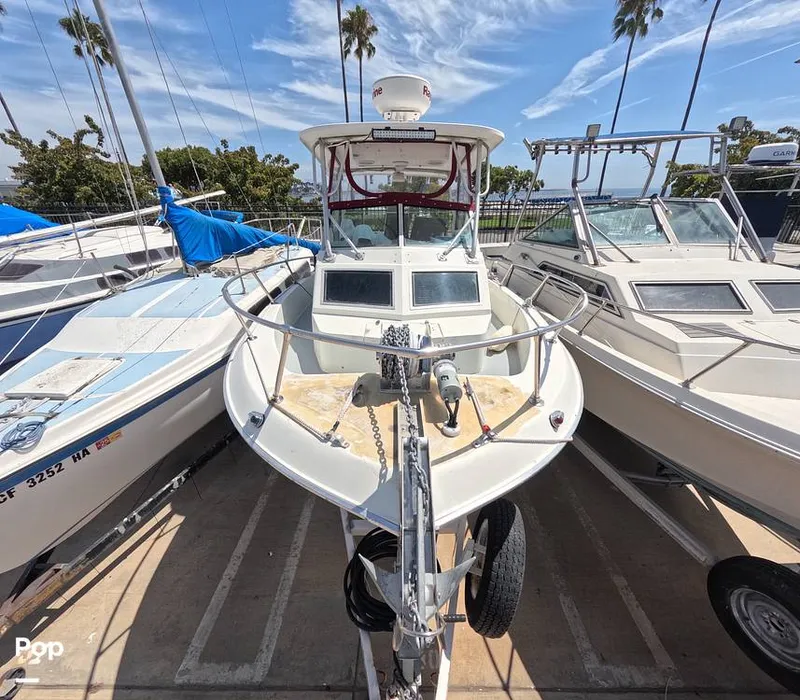 Slide: The Image of Grady-White 240 Offshore 1980 - 15799479