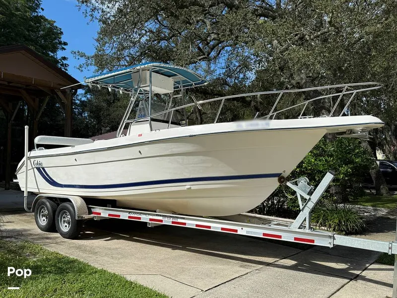 The Image of 2000 Cobia 244 CC - 15831417