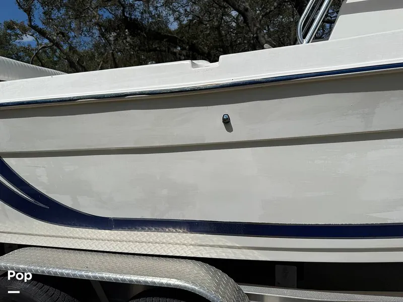 Slide: The Image of Cobia 244 2000 - 15831522