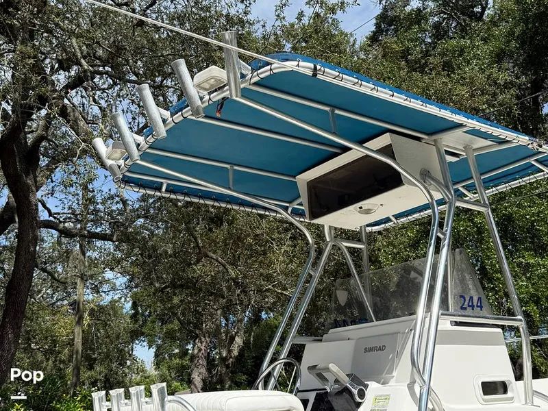 Slide: The Image of Cobia 244 2000 - 15831524