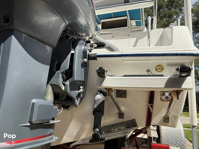 Slide: The Image of Cobia 244 2000 - 15831526