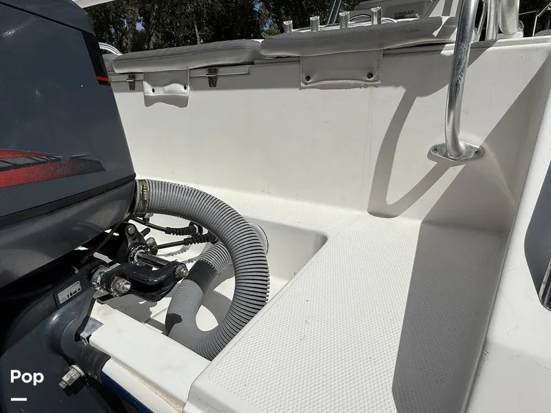 Slide: The Image of Cobia 244 2000 - 15831540