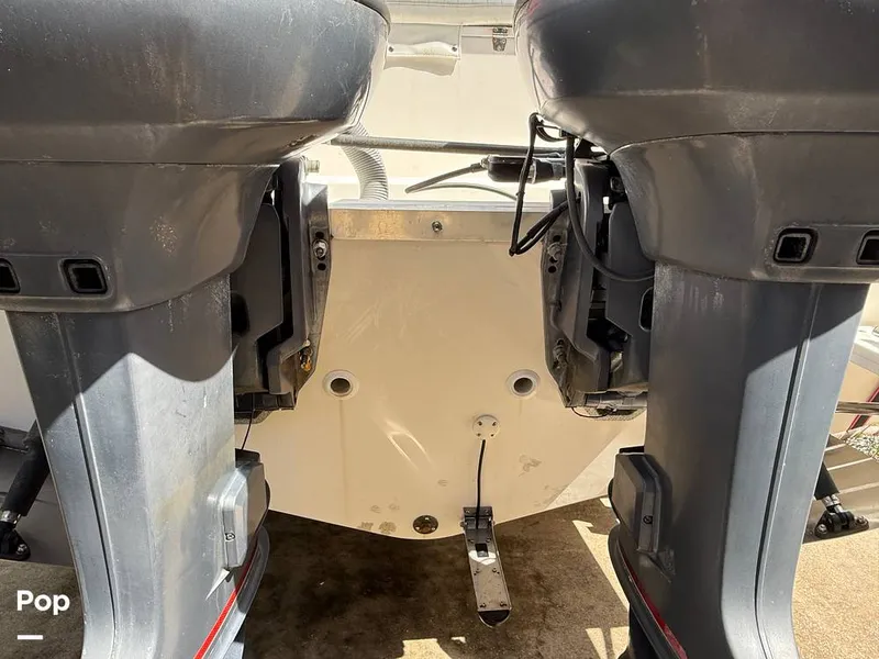 Slide: The Image of Cobia 244 2000 - 15831541