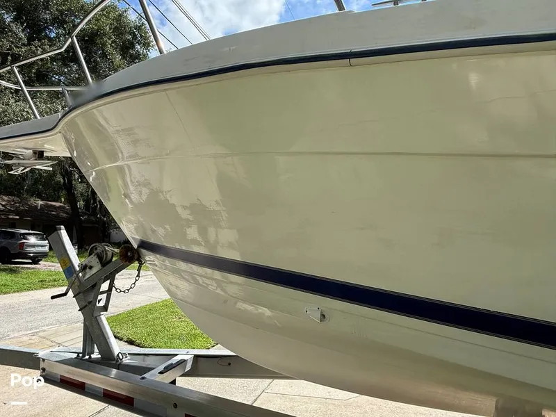 Slide: The Image of Cobia 244 2000 - 15831549