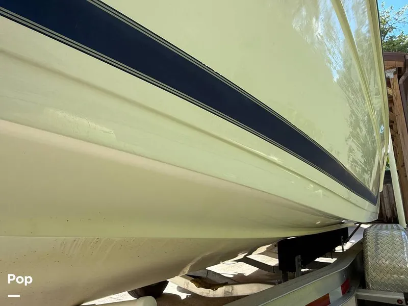 Slide: The Image of Cobia 244 2000 - 15831550