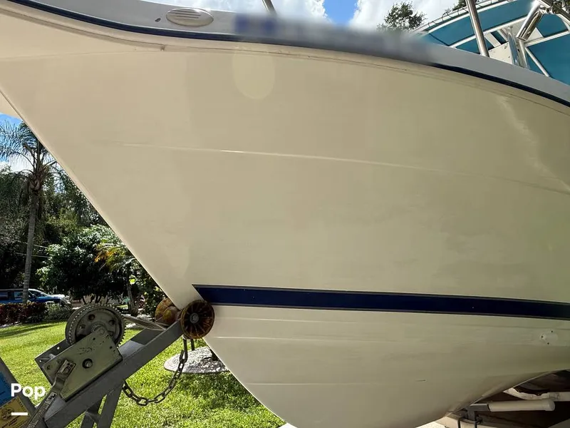 Slide: The Image of Cobia 244 2000 - 15831552