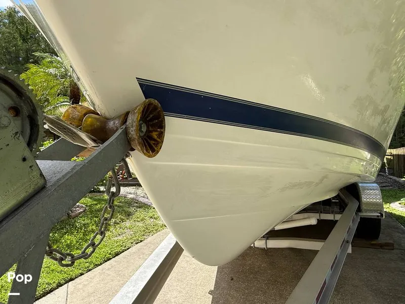 Slide: The Image of Cobia 244 2000 - 15831553