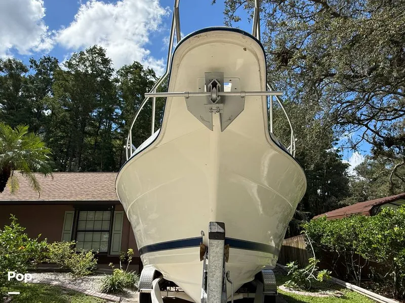 Slide: The Image of Cobia 244 2000 - 15831554