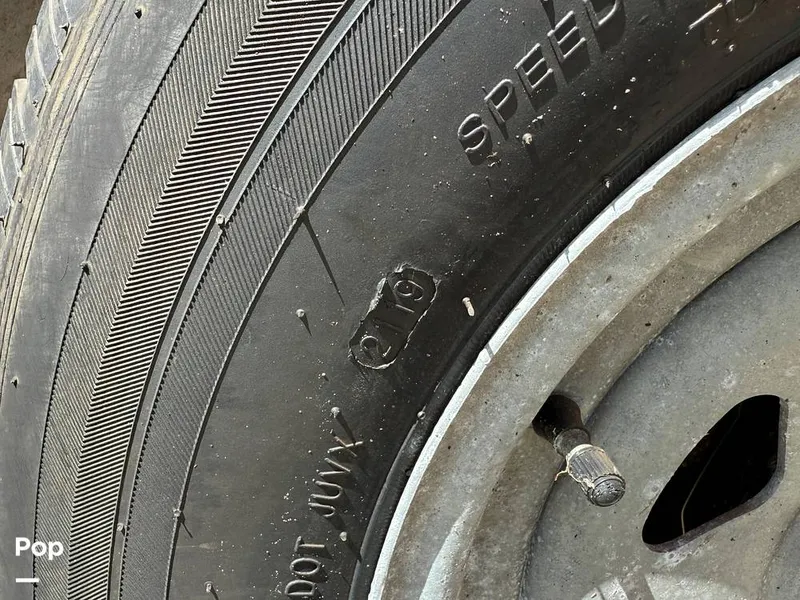 Slide: The Image of Cobia 244 2000 - 15831562