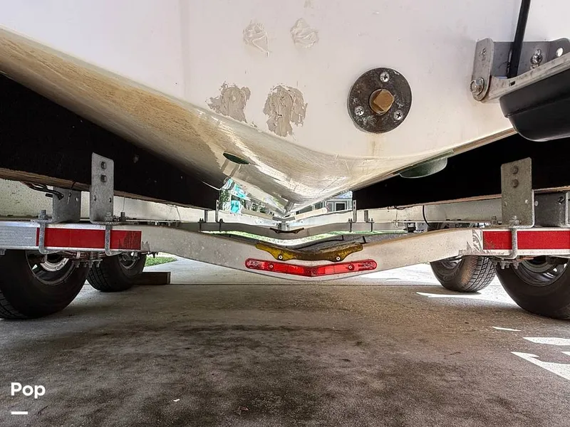 Slide: The Image of Cobia 244 2000 - 15831564