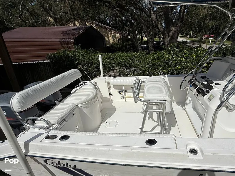 Slide: The Image of Cobia 244 2000 - 15831444