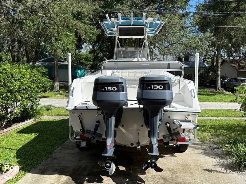 Slide: The Image of Cobia 244 2000 - 15831435