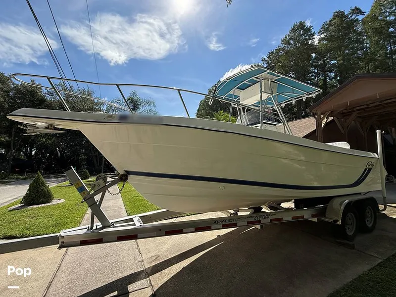 Slide: The Image of Cobia 244 2000 - 15831438