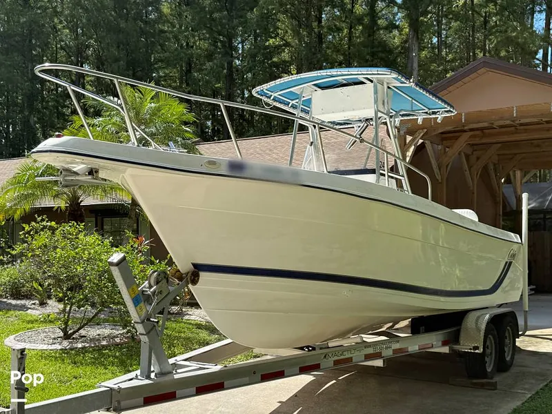 Slide: The Image of Cobia 244 2000 - 15831439