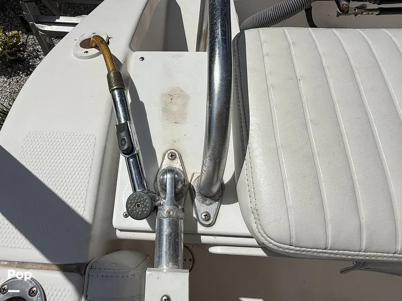 Slide: The Image of Cobia 244 2000 - 15831466