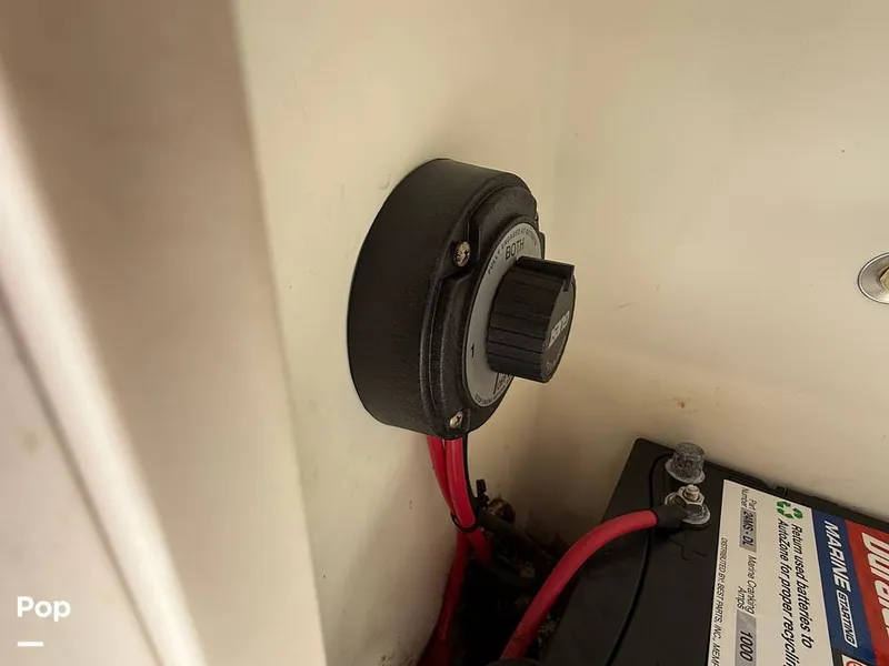 Slide: The Image of Cobia 244 2000 - 15831469