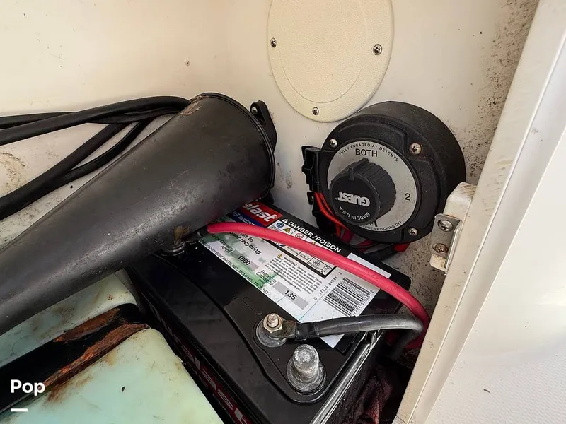 Slide: The Image of Cobia 244 2000 - 15831471