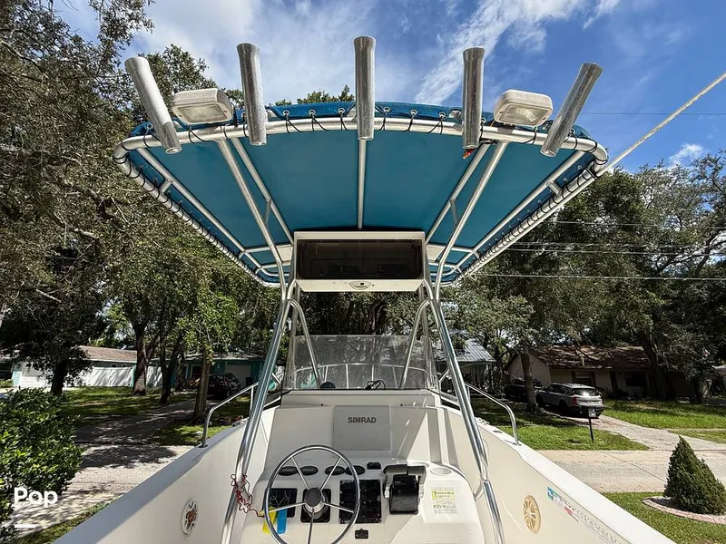 Slide: The Image of Cobia 244 2000 - 15831475