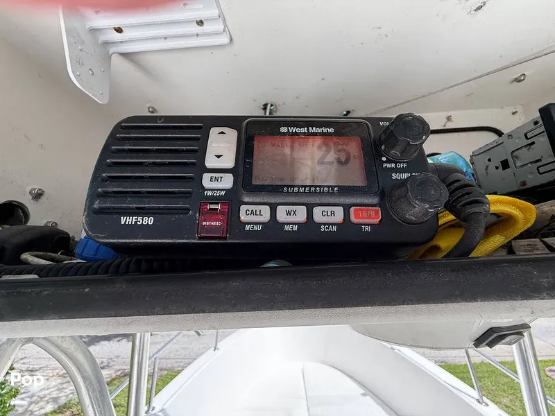 Slide: The Image of Cobia 244 2000 - 15831481