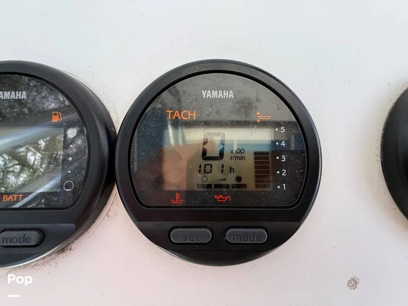 Slide: The Image of Cobia 244 2000 - 15831489