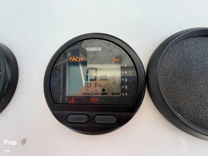 Slide: The Image of Cobia 244 2000 - 15831490