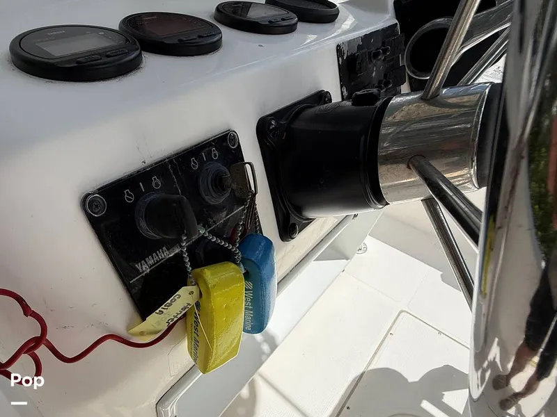 Slide: The Image of Cobia 244 2000 - 15831495