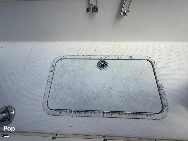 Slide: The Image of Cobia 244 2000 - 15831500