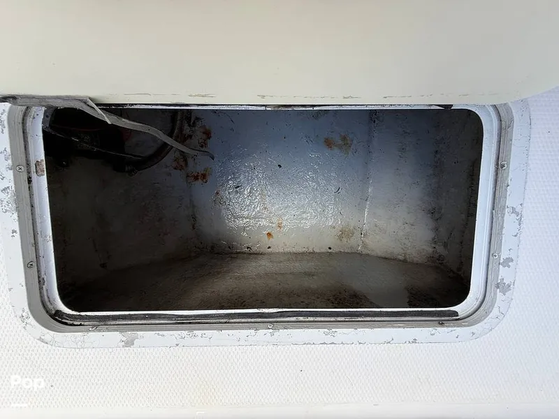 Slide: The Image of Cobia 244 2000 - 15831501