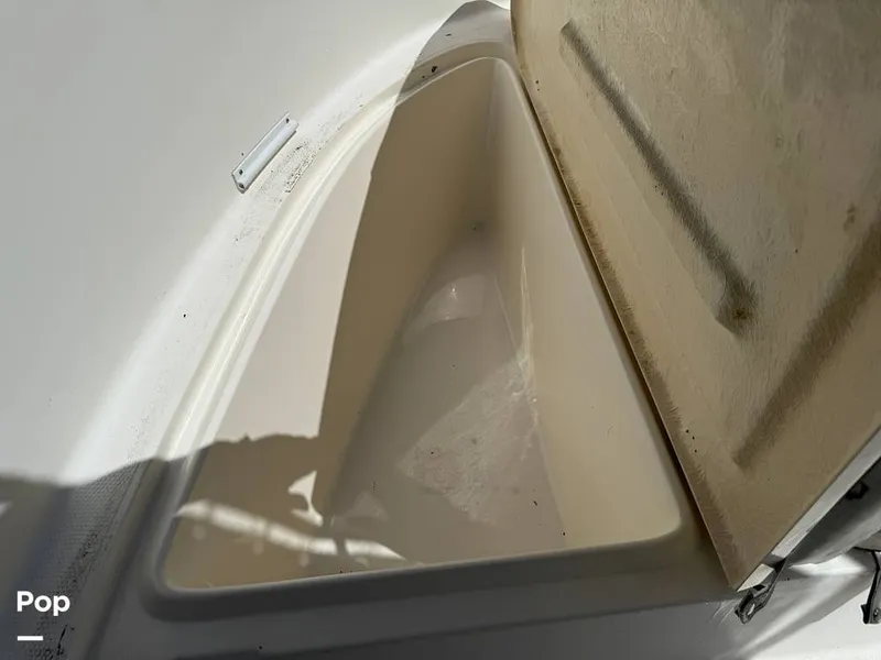 Slide: The Image of Cobia 244 2000 - 15831503