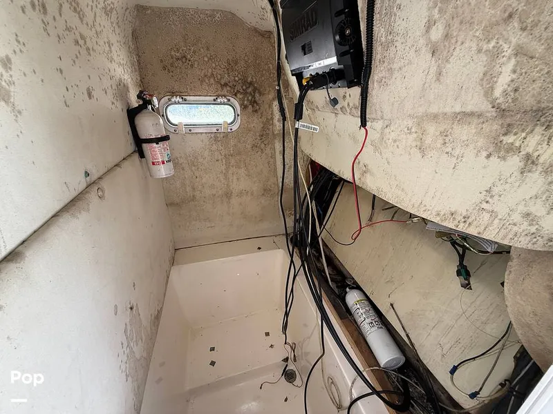 Slide: The Image of Cobia 244 2000 - 15831513