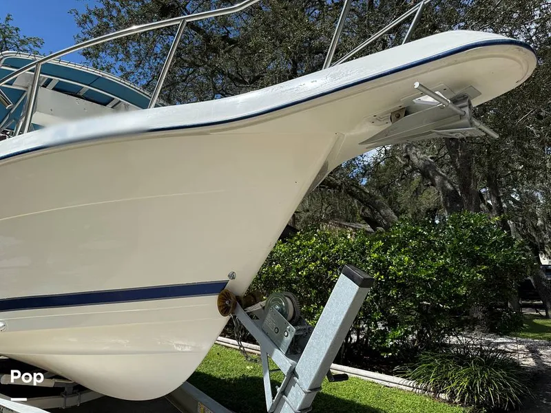 Slide: The Image of Cobia 244 2000 - 15831516