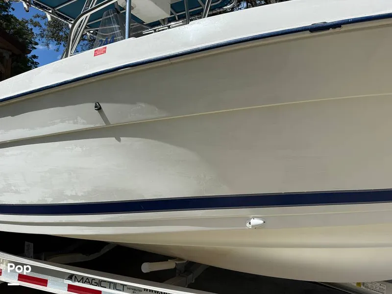 Slide: The Image of Cobia 244 2000 - 15831520